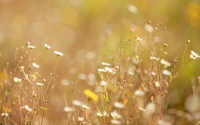 5 Signs you Need a Higher Level of Eating Disorder Treatment (When Outpatient Eating Disorder Treatment Is Not Enough)