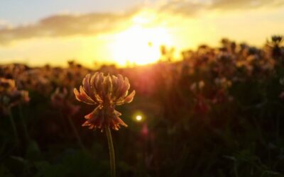 Eating Disorder Relapse Warning Signs: What to Do Next