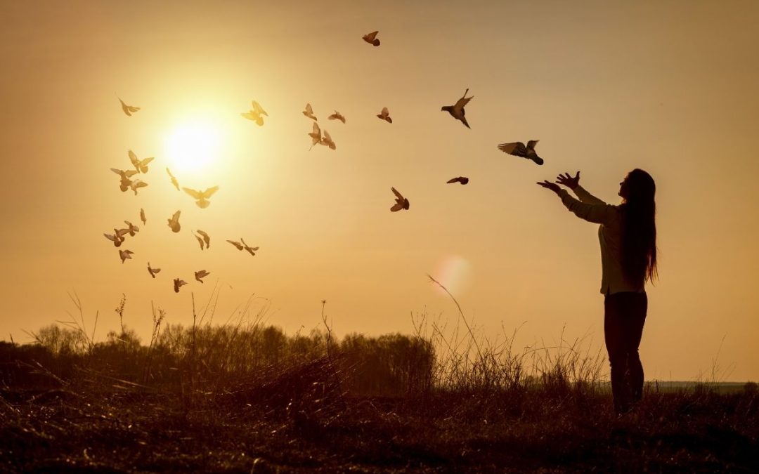 When Trauma, OCD, and Eating Disorders Overlap: How Integrated Treatment Can Help