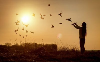 When Trauma, OCD, and Eating Disorders Overlap: How Integrated Treatment Can Help