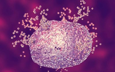 Mast Cell Activation Syndrome Treatment and Eating Disorders: An Integrated, Whole-Person Approach to Care